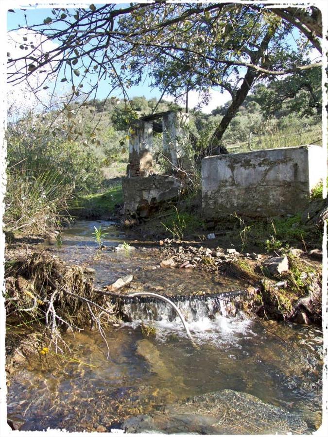 Cortijo Casas Viejas Vakantiehuis *