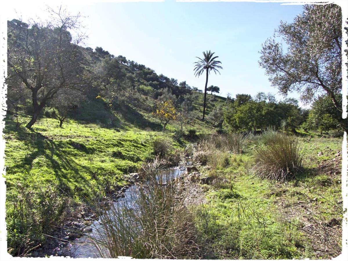 Holiday home Cortijo Casas Viejas Malaga